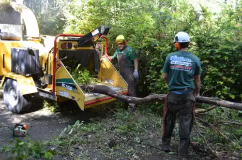 tree services Victor